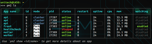 Current pm2 output